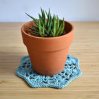 Potted plant on a blue crocheted doily with a wooden surface.