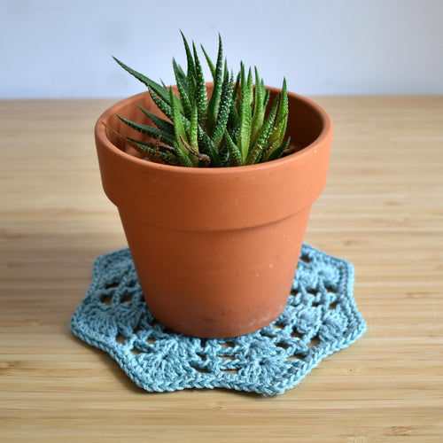 Potted plant on a blue crocheted doily with a wooden surface.