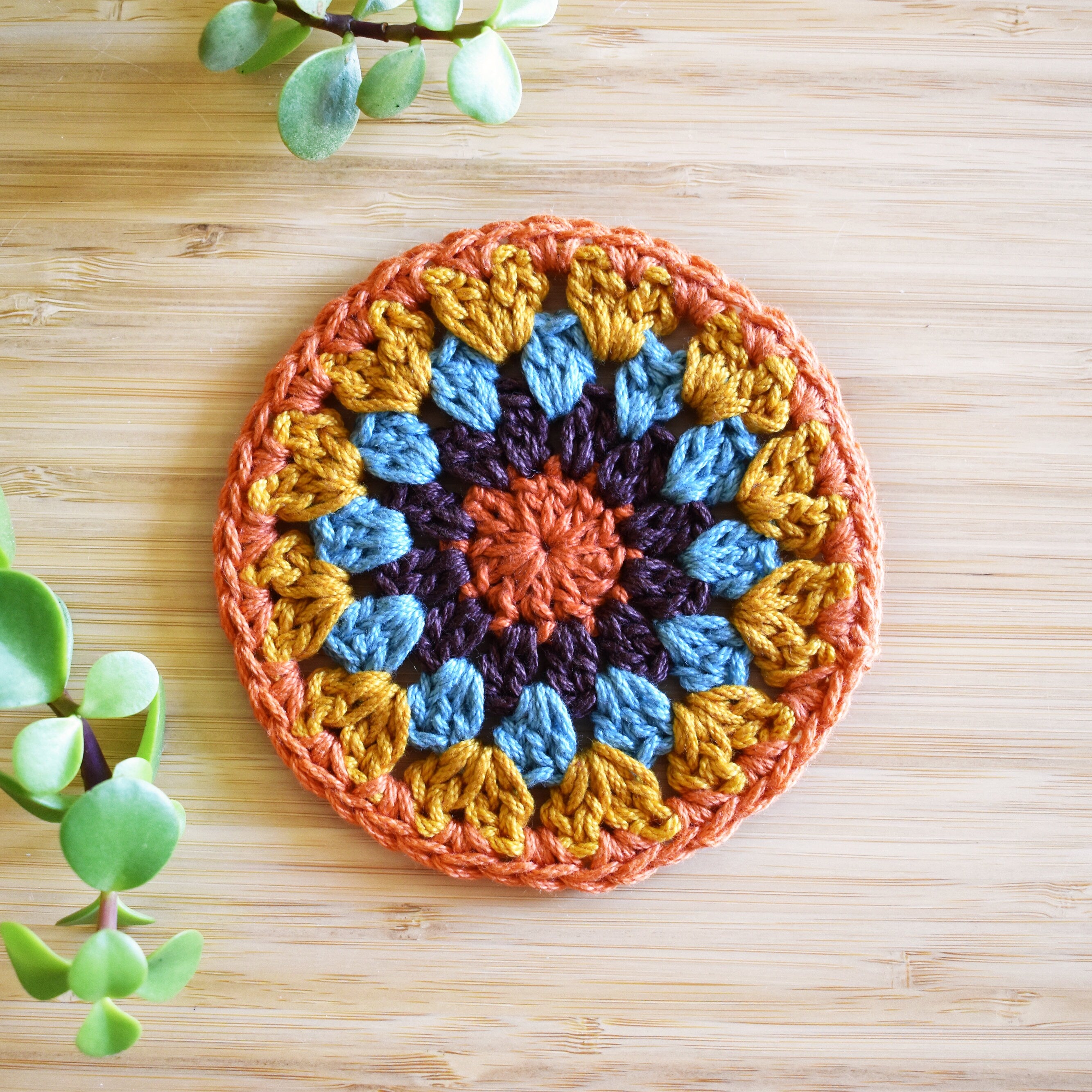 Colorful crocheted coaster on a wooden surface with green plants.