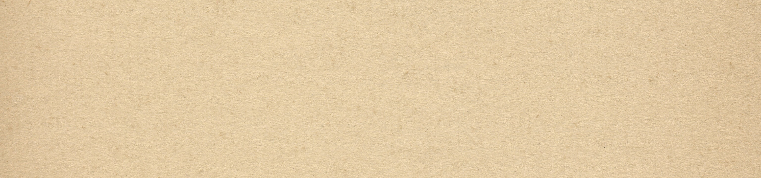 Natural kraft paper texture header swatch.