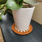 White potted plant on a dark blue surface with an orange and white crocheted coaster underneath.
