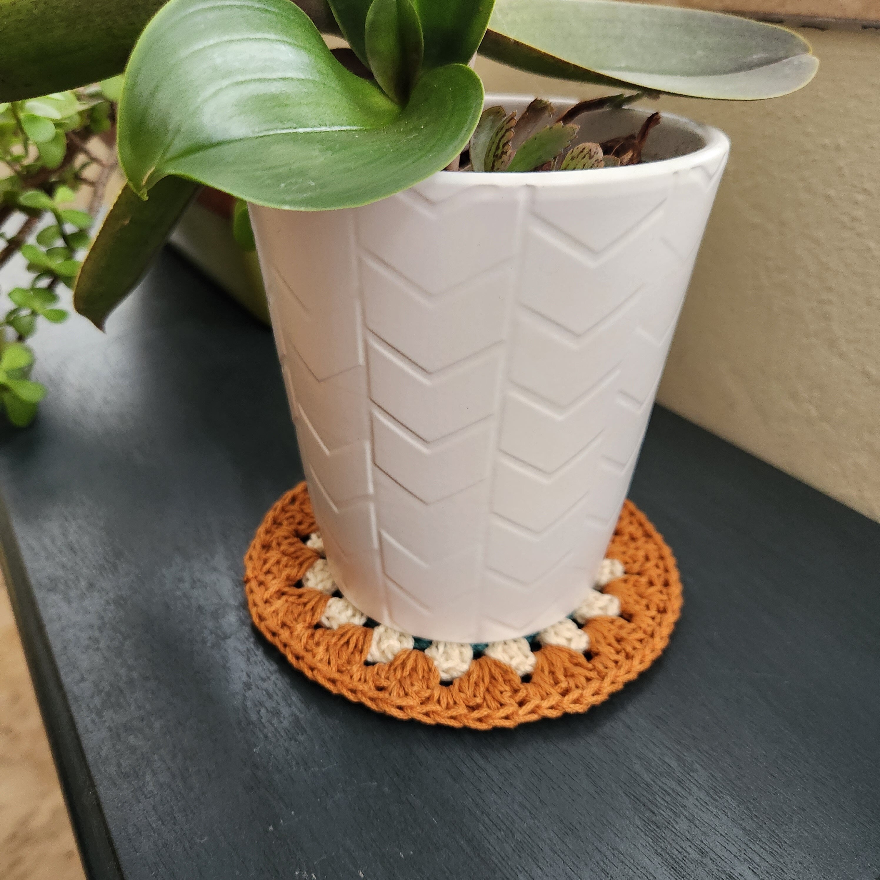 White potted plant on a dark blue surface with an orange and white crocheted coaster underneath.