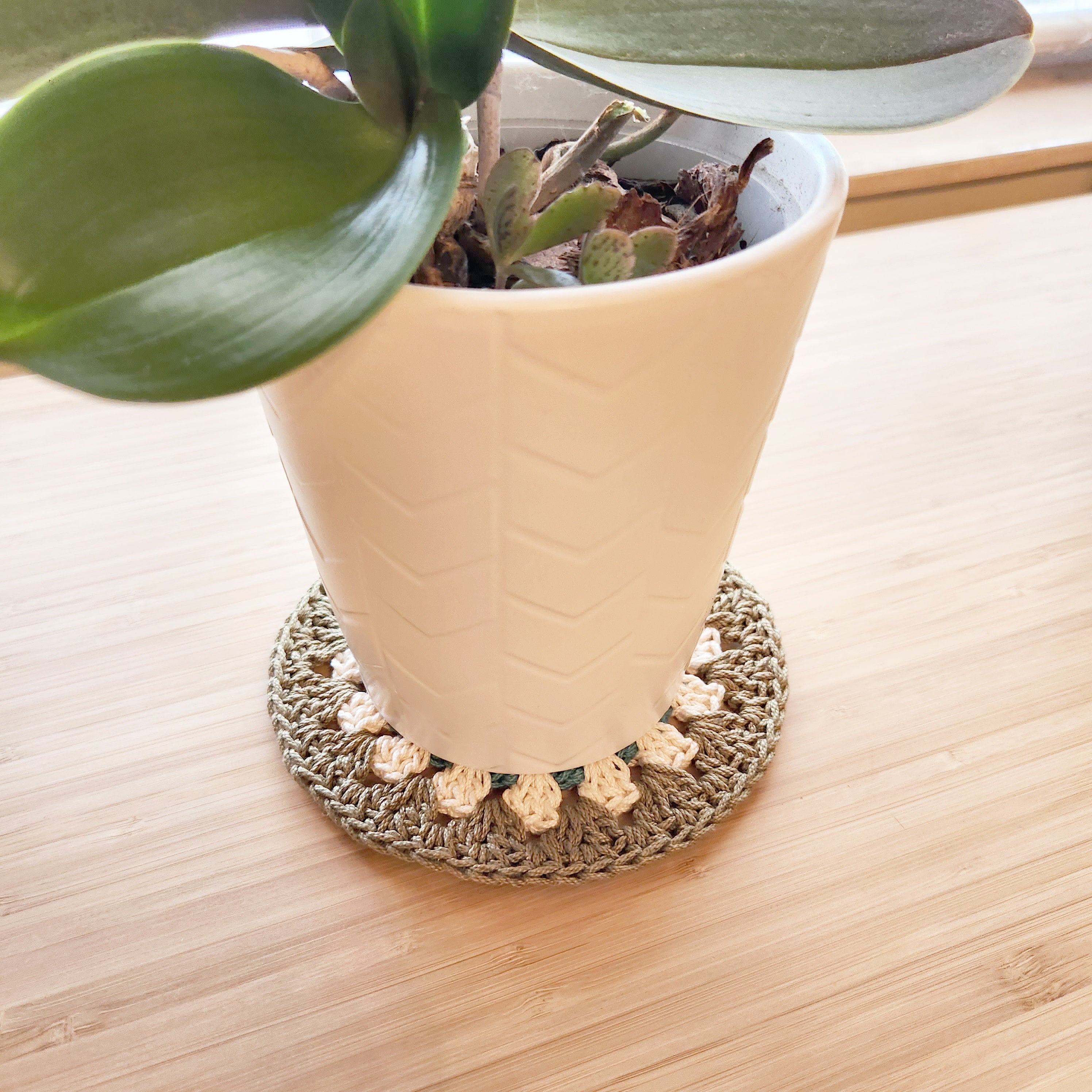 Potted plant on a wooden surface with a crocheted coaster underneath.