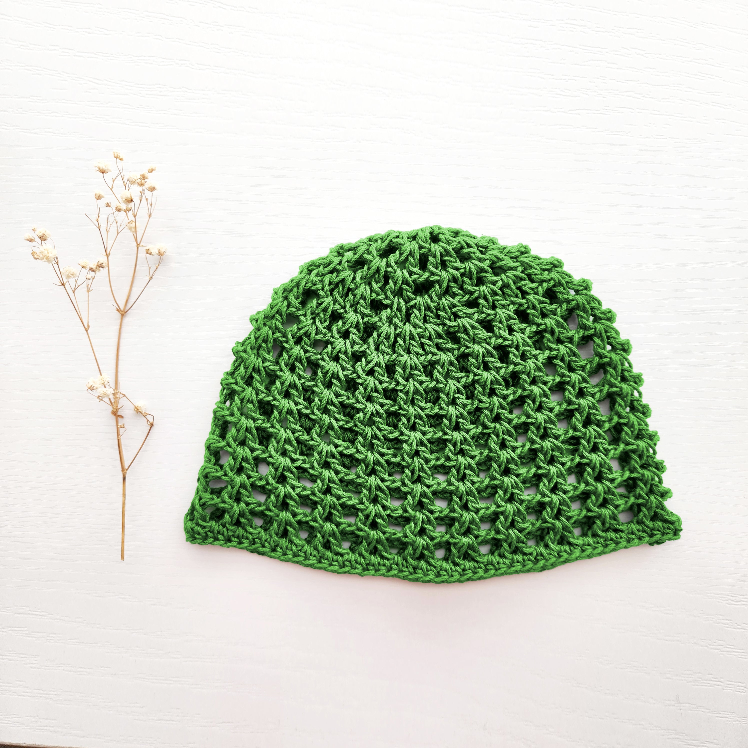 Green knitted hat on a white background with a dried plant.